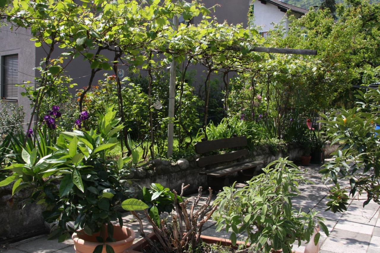 Residence La Terrazza Caldaro sulla Strada del Vino Exterior foto